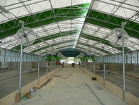 montovana-hala-forum-kravin-03